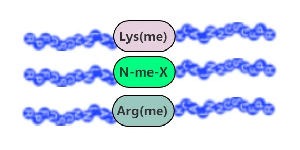 Peptidi metilati