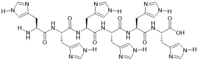 6×Il suo peptide
