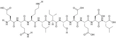 Peptide dell'epitopo Myc