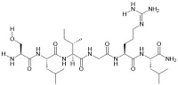 PAR-2 (1-6) Ammide (topo, ratto)