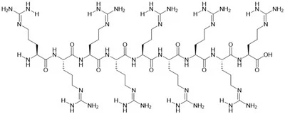 Peptide R9